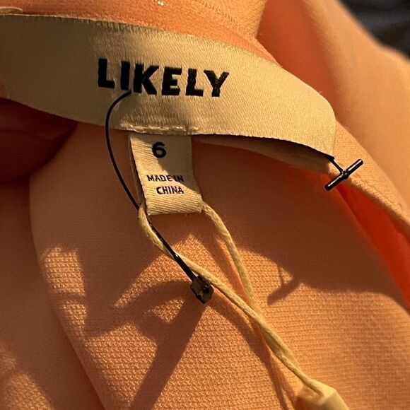 Likely Miller Ruffle Dress  - Picture 7 of 14